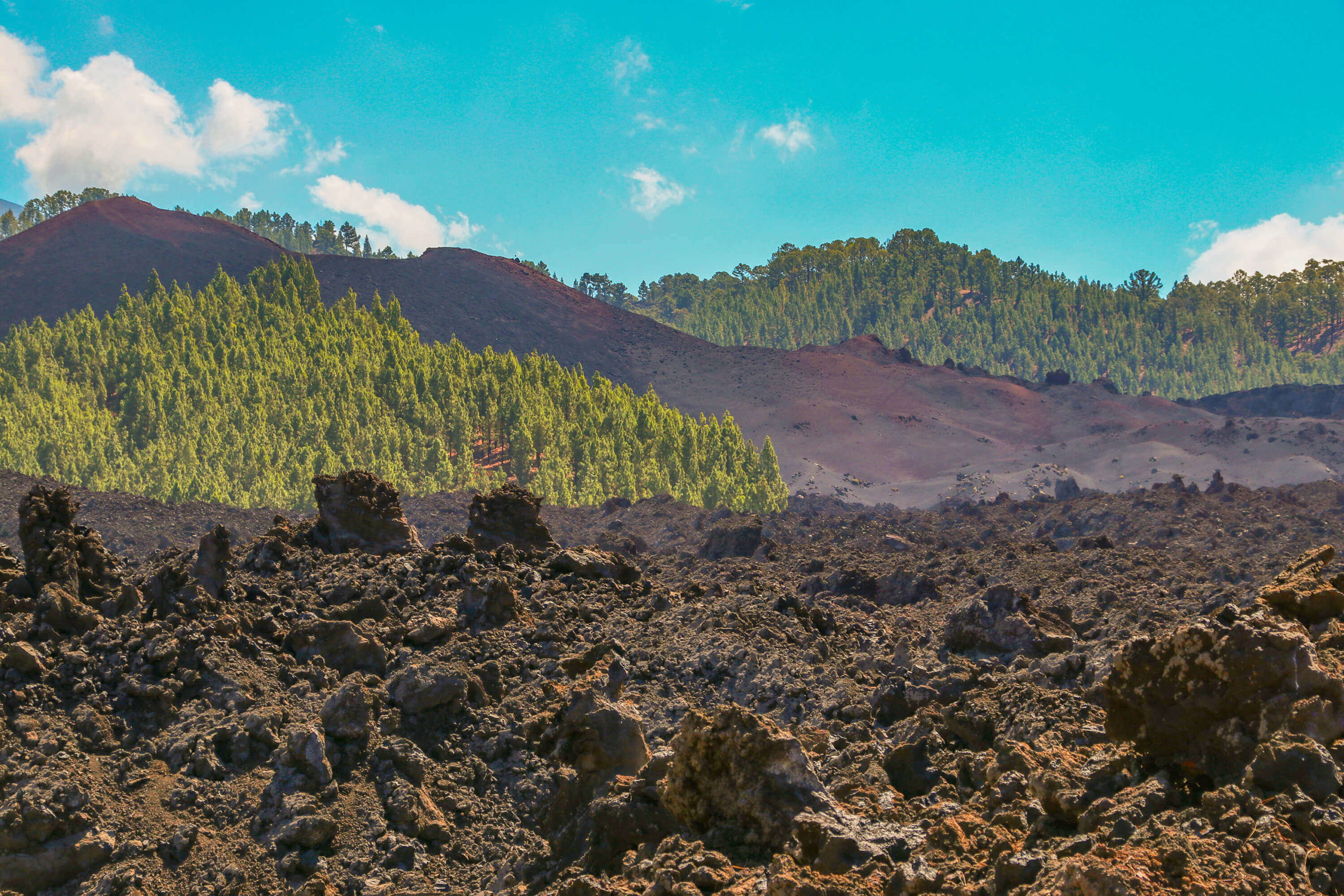 El volcán Chinyero rodeado de pinar y malpaís