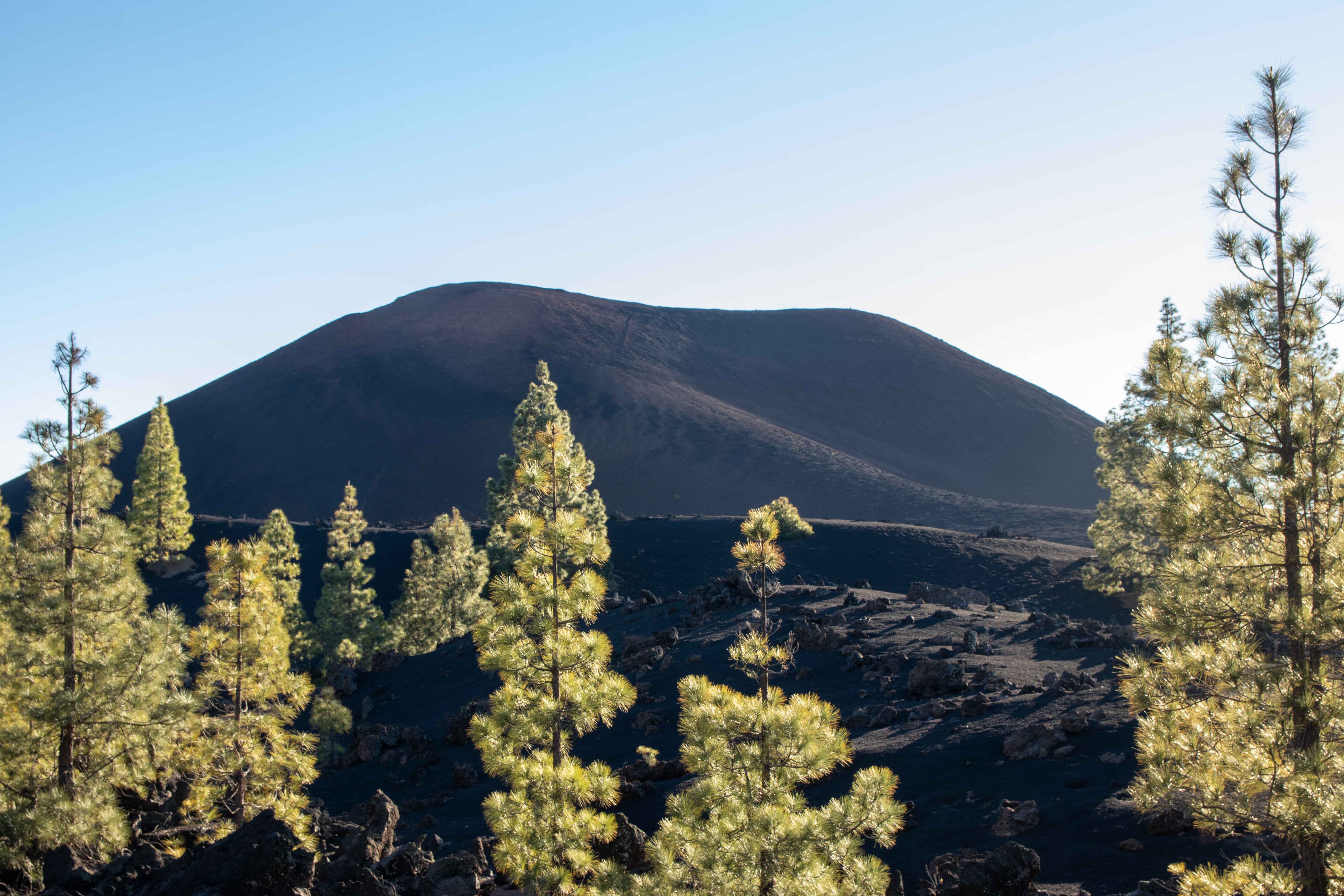 Ruta circular Volcán Chinyero, Tenerife