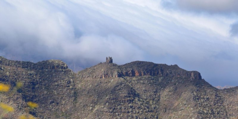 Monte de Las Mesas, Tenerife
