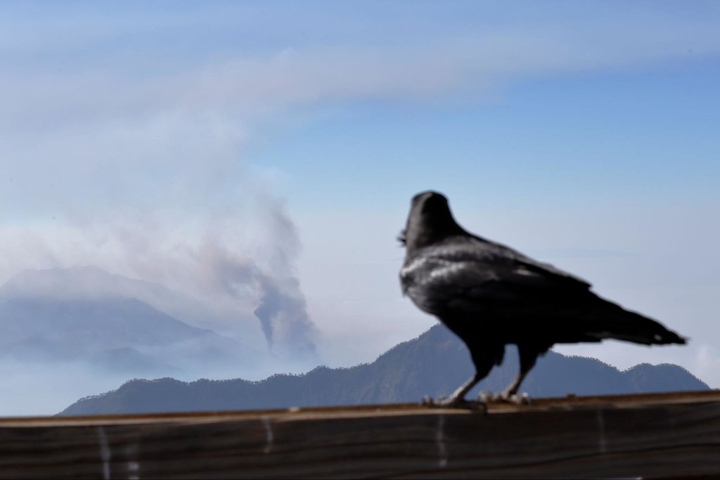 Volcán Cumbre Vieja, Mirador Los Andenes, La Palma