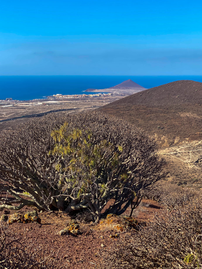 Montaña de Ifara, Tenerife.